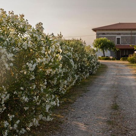 Вілла Agri Charme Tenuta Picilli Albanella Екстер'єр фото
